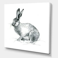 עיצוב 'דיוקן שחור לבן של ארנב' הדפס קיר קיר קיר קיר קיר
