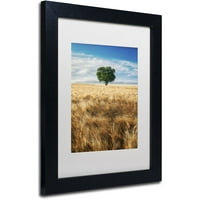 סימן מסחרי אמנות חיטה שדה עץ בד אמנות על ידי מייקל בלאנשט צילום לבן מט, שחור מסגרת
