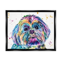 Suppell Bold Bold Bow Shih Tzu Doc